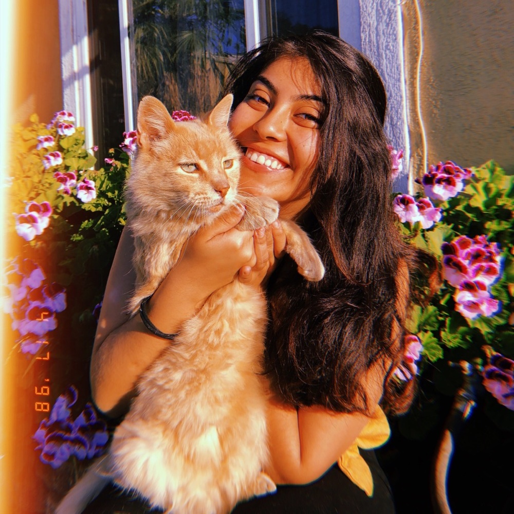 Meet your Posher, Yessenia